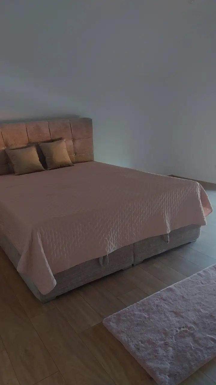 Namješten francuski ležaj s ružičastim prekrivačem i jastucima u sobi kupca